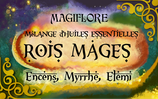 Synergie Rois Mages