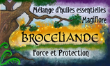 Synergie Brocéliande