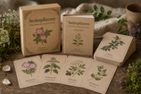 Kartenset "Seelenpflanzen - Botschaften aus der grünen Welt" /Orakelkarten / Pflanzenbotschaften / Seelenmedizin