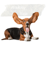 ACADEMY BASIC