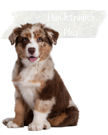 Hundetrainer Plus/ Praxistage 2026