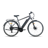 Elektrofahrrad TOTEM XC 921 28", grau