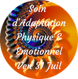 200731 - Soin Adaptation Physique & Emotionnel