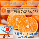 たんかん（秀優品L2L　2.5Kg）