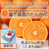 たんかん（秀品L2L 4.5Kg）