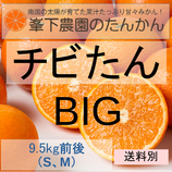 安くてたくさんチビたん-Big（SM9.5Kg）