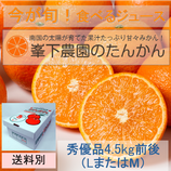 たんかん（秀優品ML 4.5Kg）