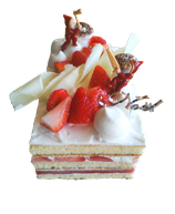 Bノエルフレーズ角形9×15ｃｍ（店頭受取予約）