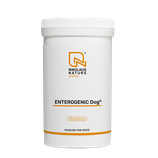 ENTEROGENIC Dog