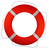 Premium-Rettungsring SOLAS 73 cm 2,5 kg