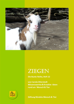 Ziegen (Sonderpreis)