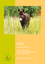 Esel (Sonderpreis)