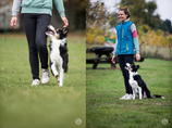 Obedience-Seminar mit Susanne Bachl-Steiner Samstag 11.10.2025