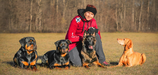 Individual-Seminar mit Sandra Haslinger am 17. und 18.08.2024