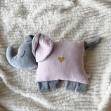 Elefant Evi