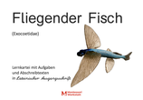 Fliegender Fisch