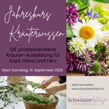 Grundmodul Kräuterwissen - Start September 2025