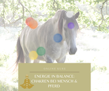 Online Kurs: Chakren bei Mensch & Pferd