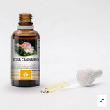 Revitalconcept - Rosa Canina Gemmo