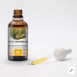 Revitalconcept - Vitis Vinifera Gemmo