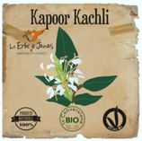 Kapoor Kachli