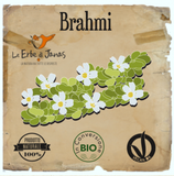 Brahmi