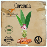 Curcuma EdJ