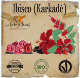 Ibisco EdJ