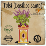 Tulsi - Basilico Santo