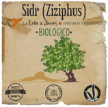 Sidr - Ziziphus