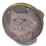 Ring Tiere