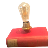 Bücherlampe - Die Thibaults