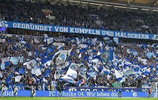 Heimspiele (bevorzugt Stehplatz)