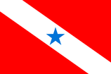 Pará State Flag