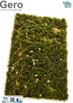 GERO Nature Landscape – Autumn Green Terrain 140×100 mm – GNL-018