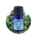 Balsamtanne bio 5ml - Abies balsamea
