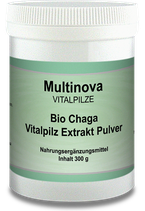 Bio Chaga Extrakt Pulver 300 g