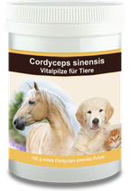 Cordyceps sinensis für Tiere