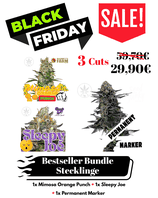 3 Stecklinge - Bestseller Bundle - Black Sale
