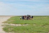 Somme Groupes - Voyages en groupes - Somme - Groupes - Séjour - Réceptif - Hauts de France - Baie de Somme - Traversée - Pédestre - Faune - Flore - Espace Naturel - Inoubliable