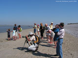 Somme Groupes - Séjour - Journée - Groupes - Somme - Agence - Réceptif - Randonnée - Voyage - Baie de Somme - Nature - Oiseaux - Phoques - Week-end