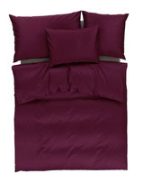 84.0099 aubergine