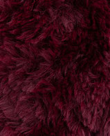 Phil Inuit - Burgandy