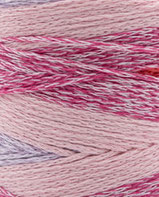 Phil Chromia - Multico Rose