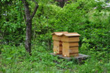 Bienenstand Sittenbach Odelzhausen Martinsried München
