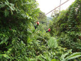 Arenal Canopy Tour