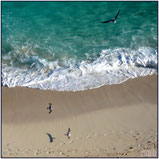 oceans & waters