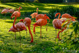 Zoo