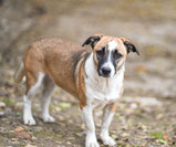 Roxy - 2024