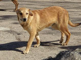 Teo - 08/ 2025